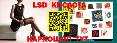дмт Краснодар